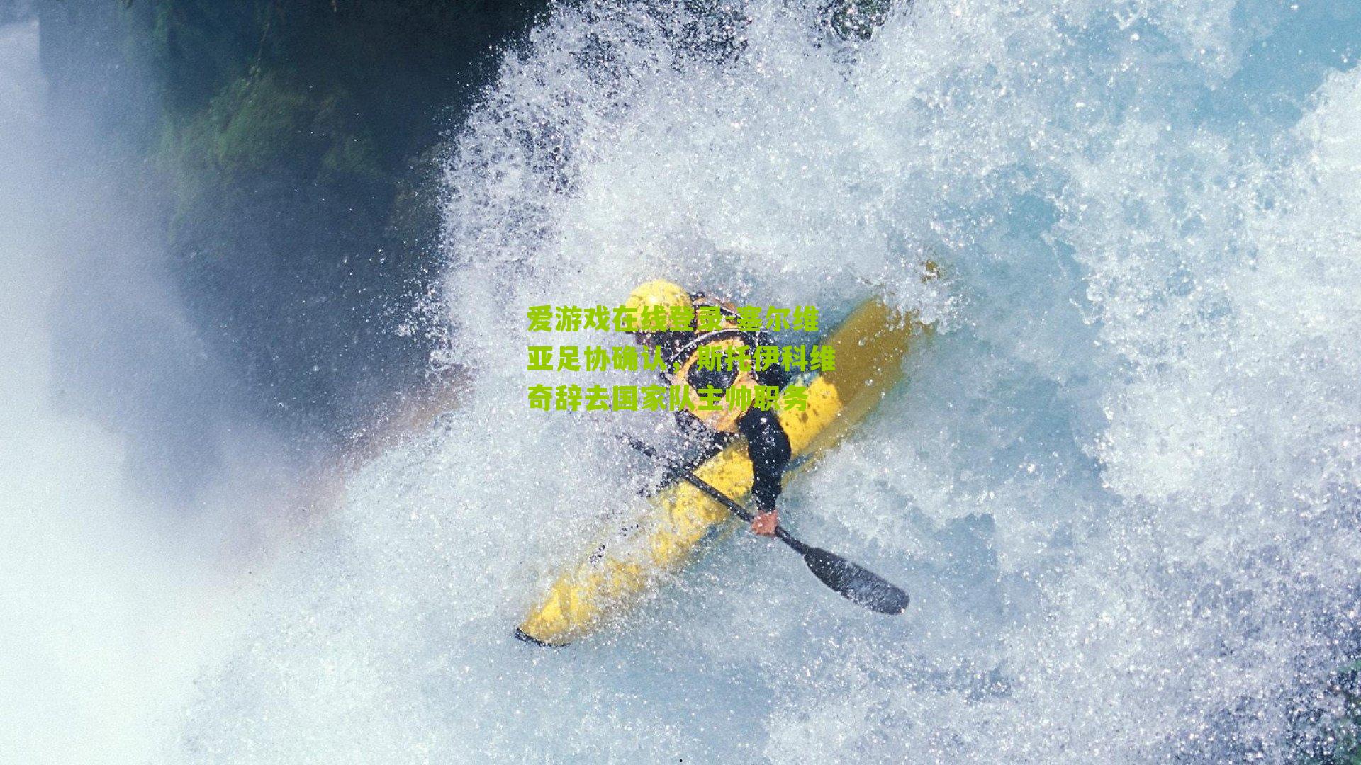 爱游戏在线登录-塞尔维亚足协确认，斯托伊科维奇辞去国家队主帅职务